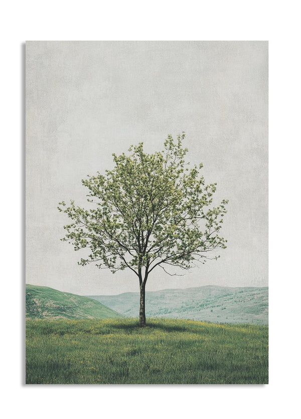 Single tree in a field with a landscape in the background, as a premium aluminum metal print from GoMetalPrint.
