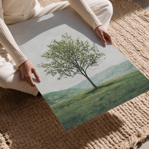 Blooming Tree in Spring
