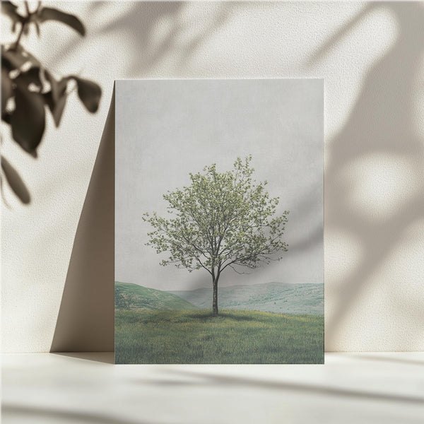 Blooming Tree in Spring