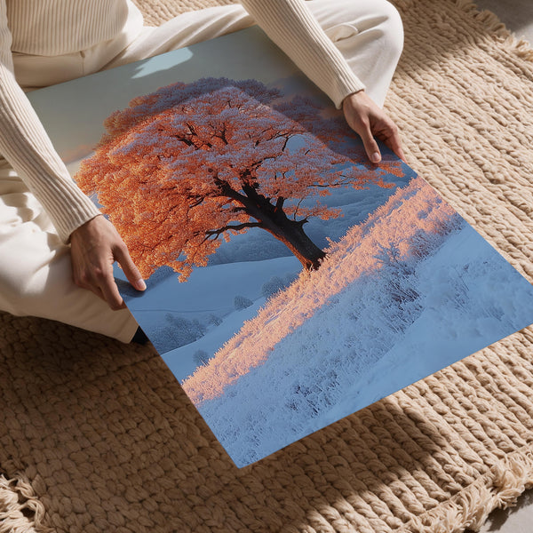 Frost Covered Tree at Sunrise