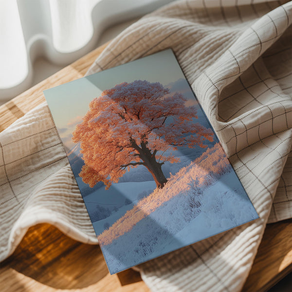 Frost Covered Tree at Sunrise