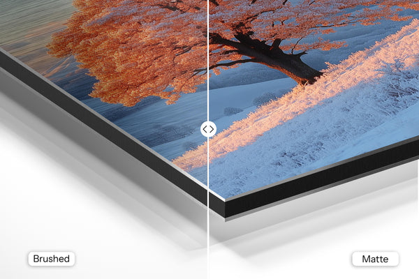 Frost Covered Tree at Sunrise