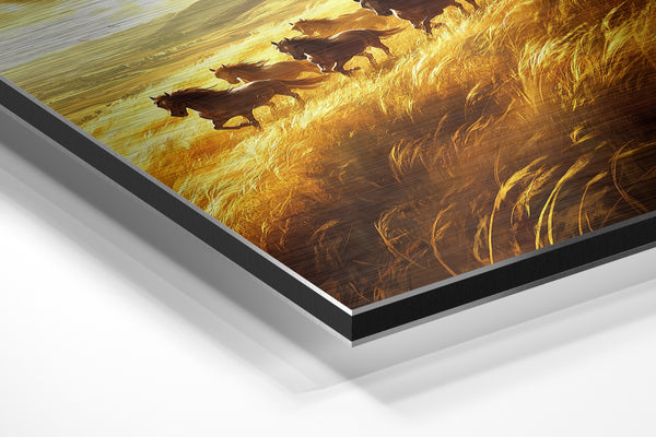 Running Horses in Golden Field