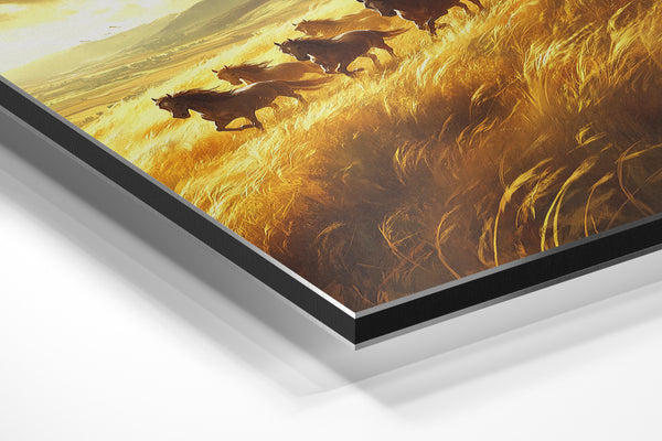 Running Horses in Golden Field