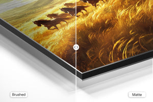 Running Horses in Golden Field