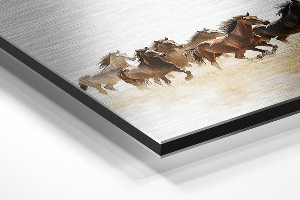 Herd of Horses Running