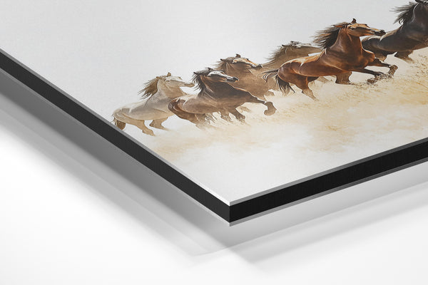 Herd of Horses Running