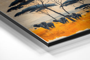 Elephants under Acacia Trees