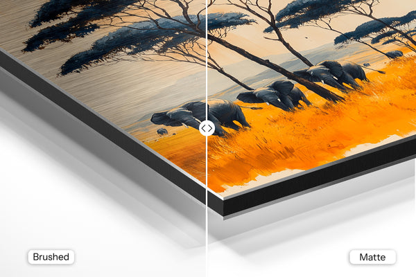 Elephants under Acacia Trees