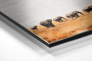 Elephants in Open Plain