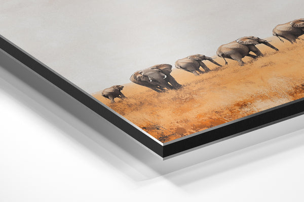 Elephants in Open Plain