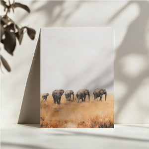 Elephants in Open Plain