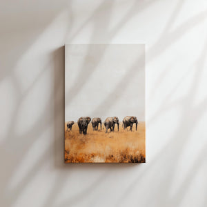 Elephants in Open Plain