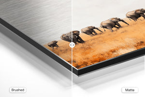 Elephants in Open Plain