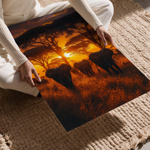 African Elephant Sunset