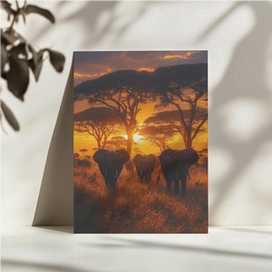 African Elephant Sunset