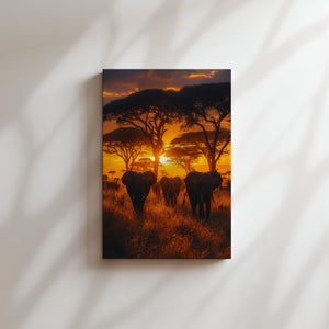 African Elephant Sunset