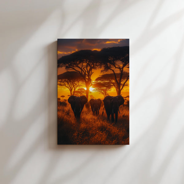 African Elephant Sunset