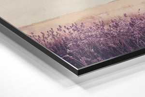 Lavender Field Dream