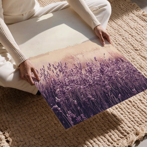 Lavender Field Dream
