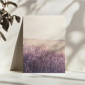 Lavender Field Dream
