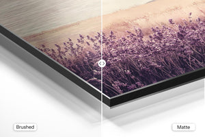 Lavender Field Dream