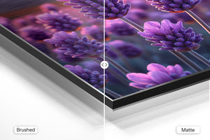 Closeup Lavender Blooms