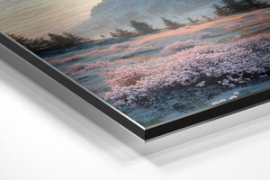 Frosted Mountain Meadow