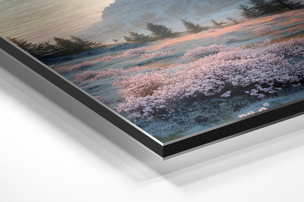 Frosted Mountain Meadow