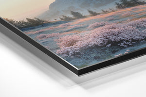 Frosted Mountain Meadow