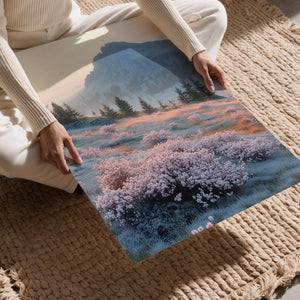 Frosted Mountain Meadow