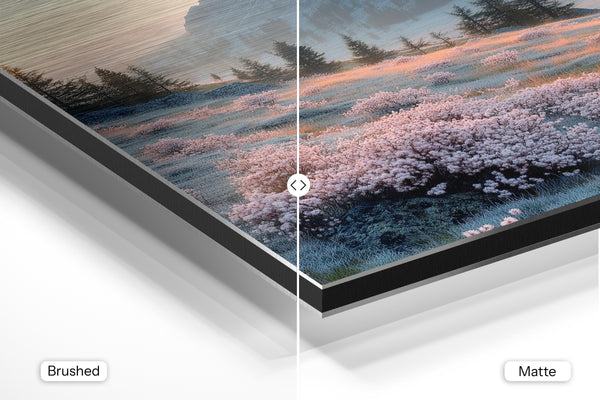 Frosted Mountain Meadow