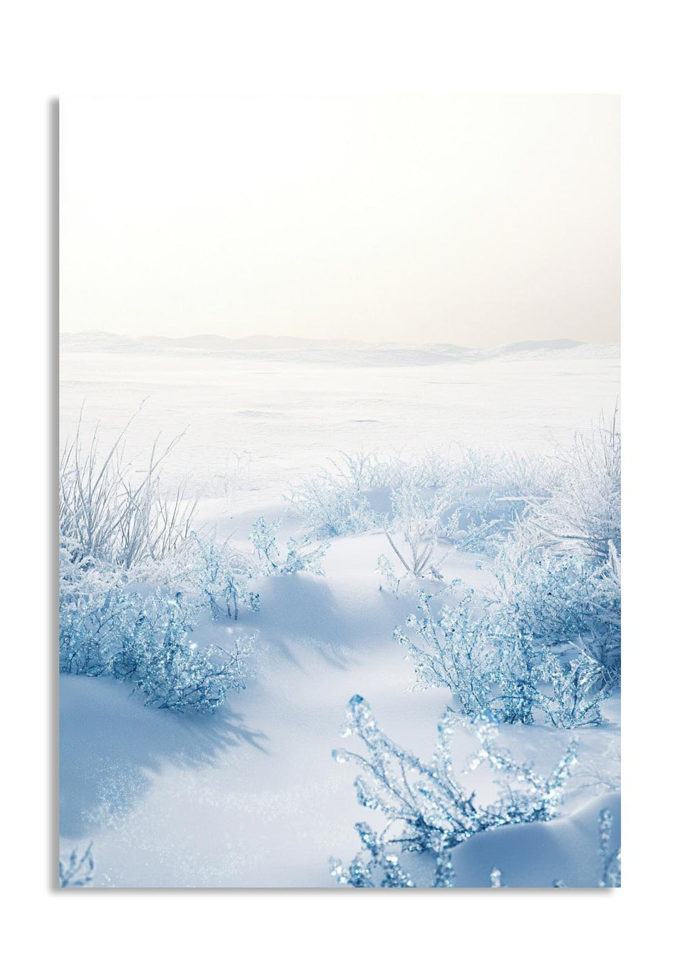 Winter landscape with snow-covered trees and a path, as a premium aluminum metal print from GoMetalPrint.
