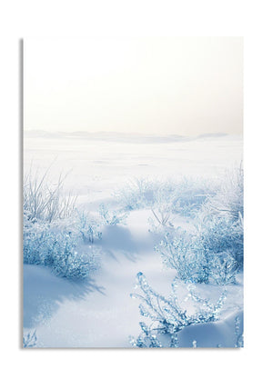 Winter landscape with snow-covered trees and a path, as a premium aluminum metal print from GoMetalPrint.
