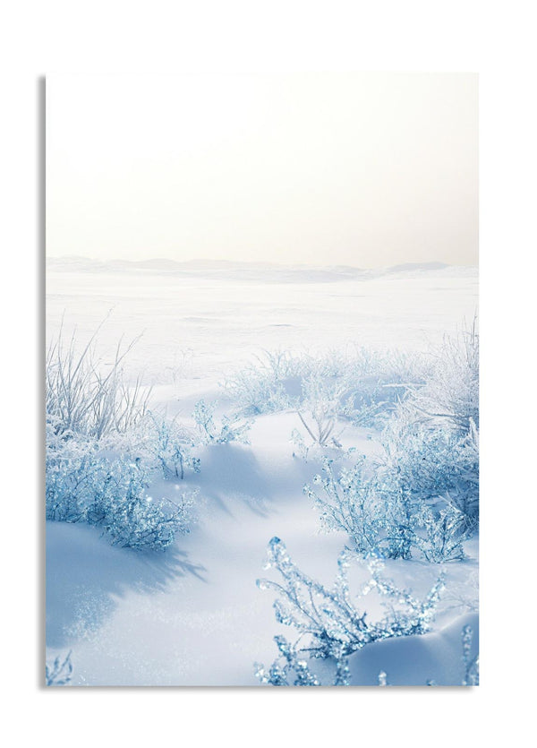 Winter landscape with snow-covered trees and a path, as a premium aluminum metal print from GoMetalPrint.
