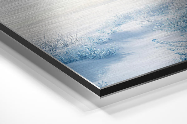 Frozen Winter Landscape