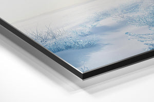 Frozen Winter Landscape