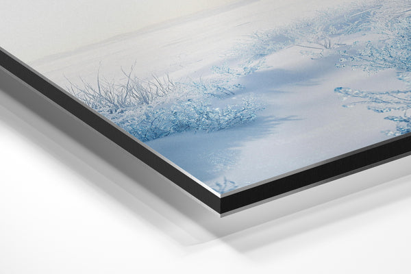 Frozen Winter Landscape