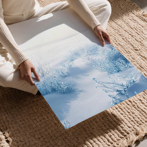 Frozen Winter Landscape