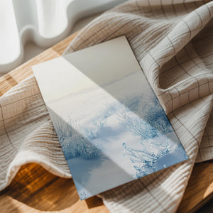 Frozen Winter Landscape