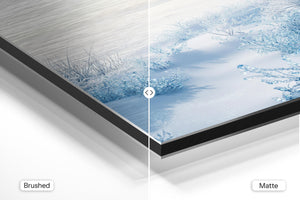 Frozen Winter Landscape