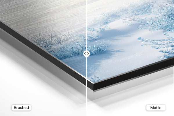 Frozen Winter Landscape