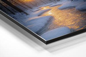 Wintery Twilight Path