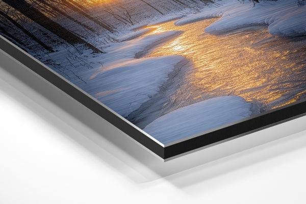 Wintery Twilight Path