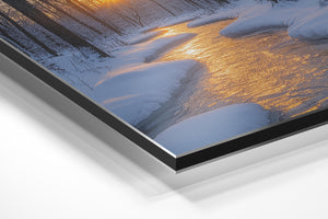 Wintery Twilight Path