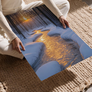 Wintery Twilight Path