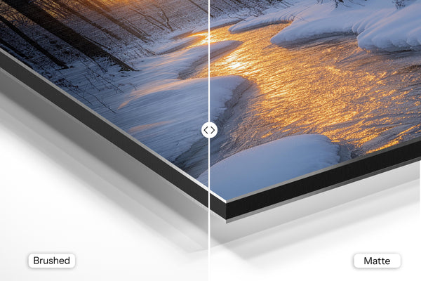 Wintery Twilight Path