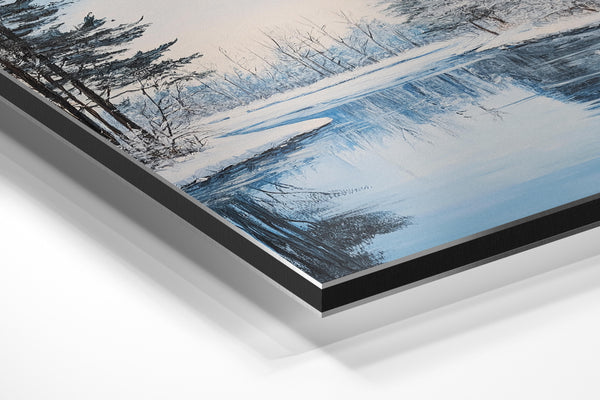 Illustrative Winter Scene