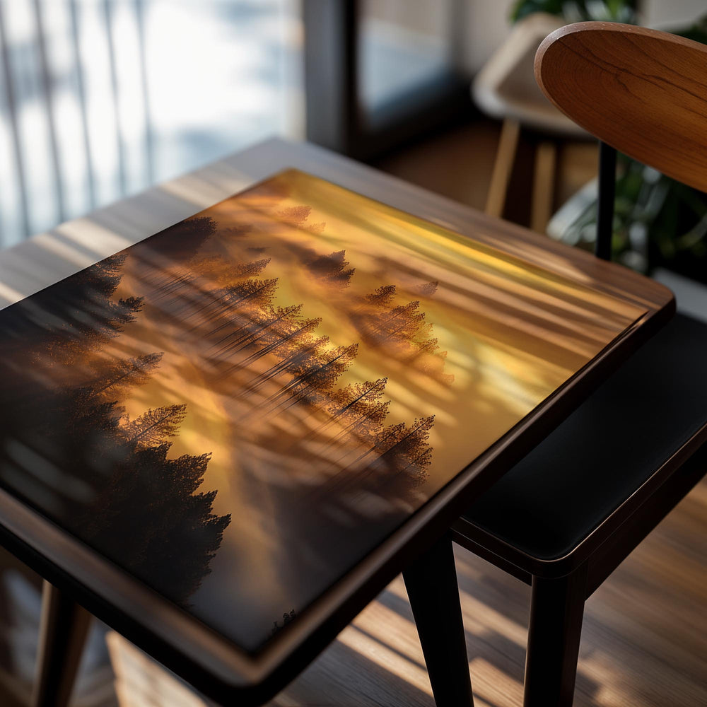 Forest with sunlight filtering through the trees, creating a warm glow, as a premium aluminum metal print from GoMetalPrint.
