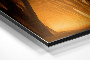 Golden Tree Corridor